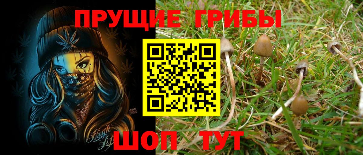 Галлюциногенные грибы мухоморы  Вход с VPN  Псилоцибиновые грибы GOLDEN TEACHER  Великий Новгород 
