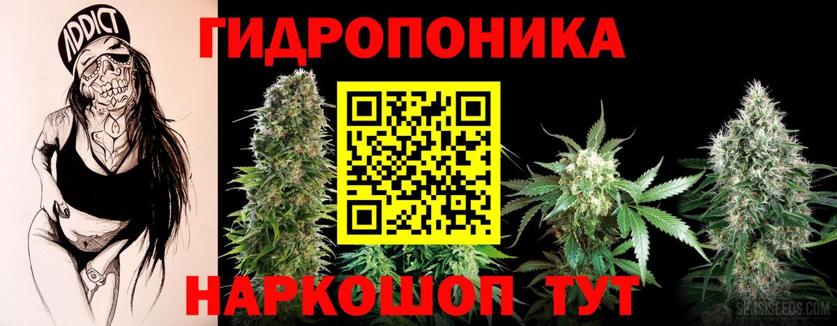 Шишки марихуана White Widow  Шишки марихуана Bruce Banner  Великий Новгород  Канабис AK-47  Вход с VPN 